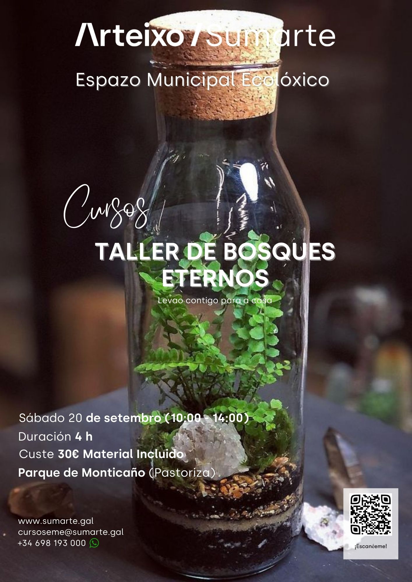 TALLER DE BOSQUES ETERNOS