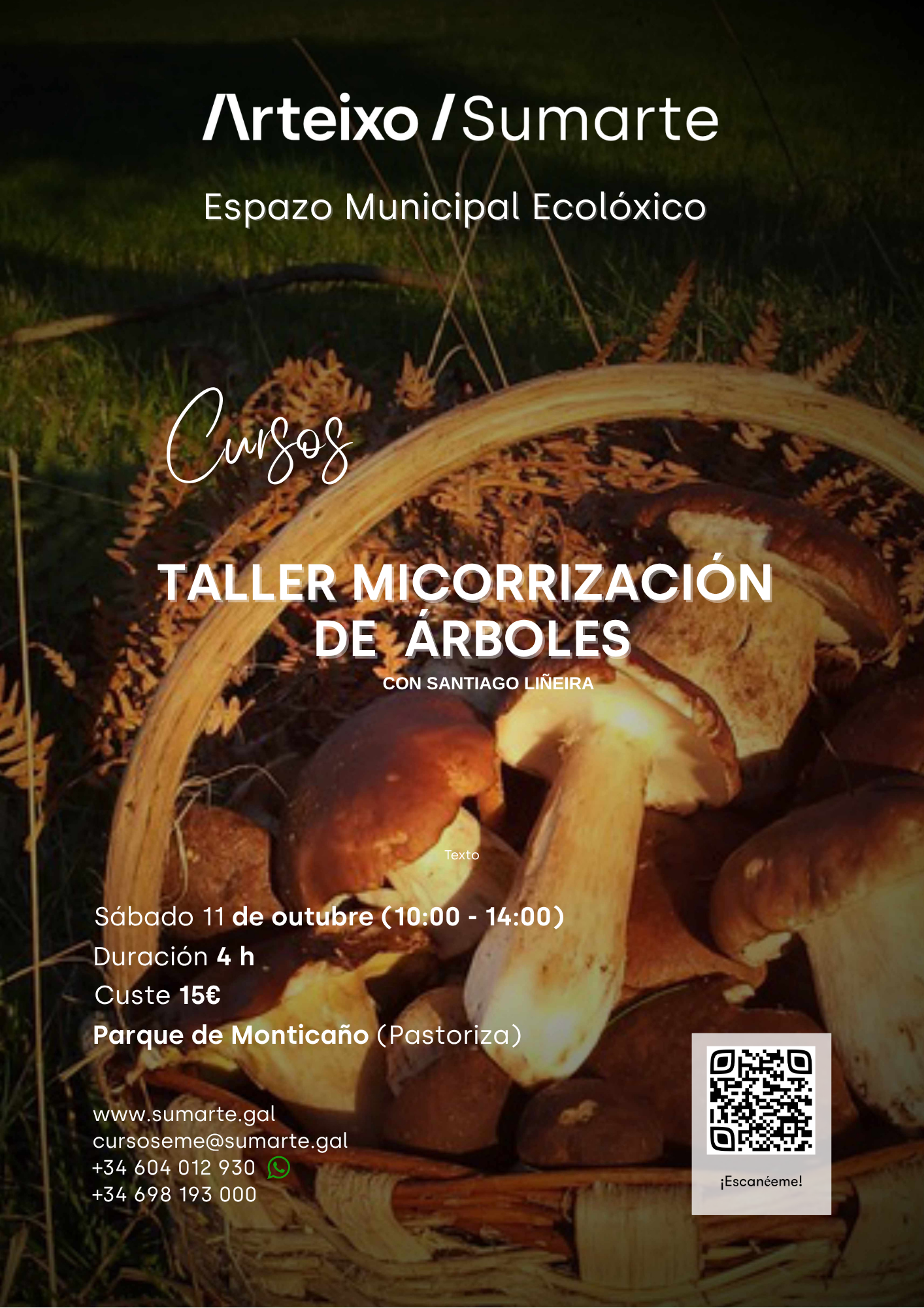 TALLER MICORRIZACIÓN DE ÁRBORES