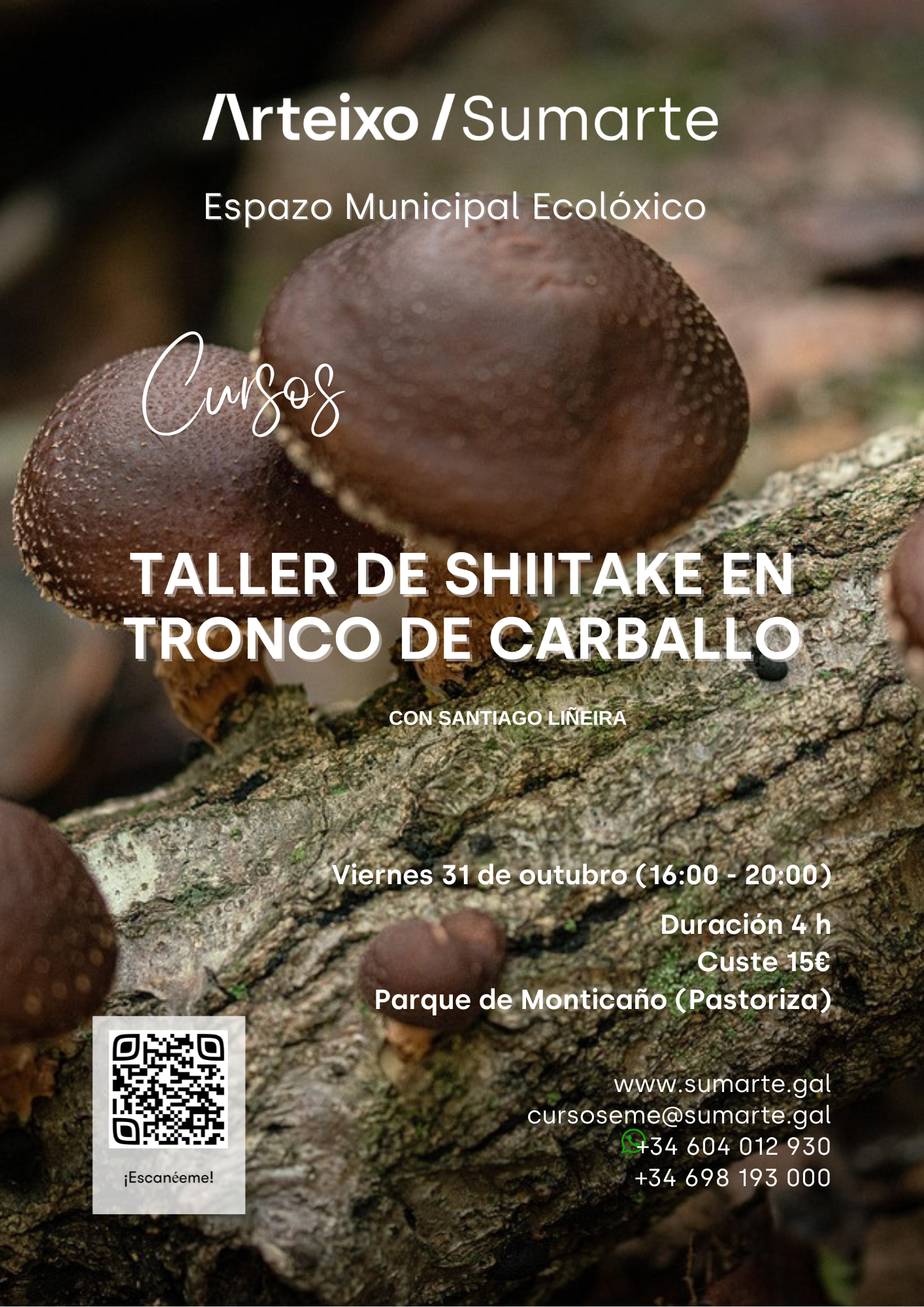 SHIITAKE EN TRONCO DE CARBALLO