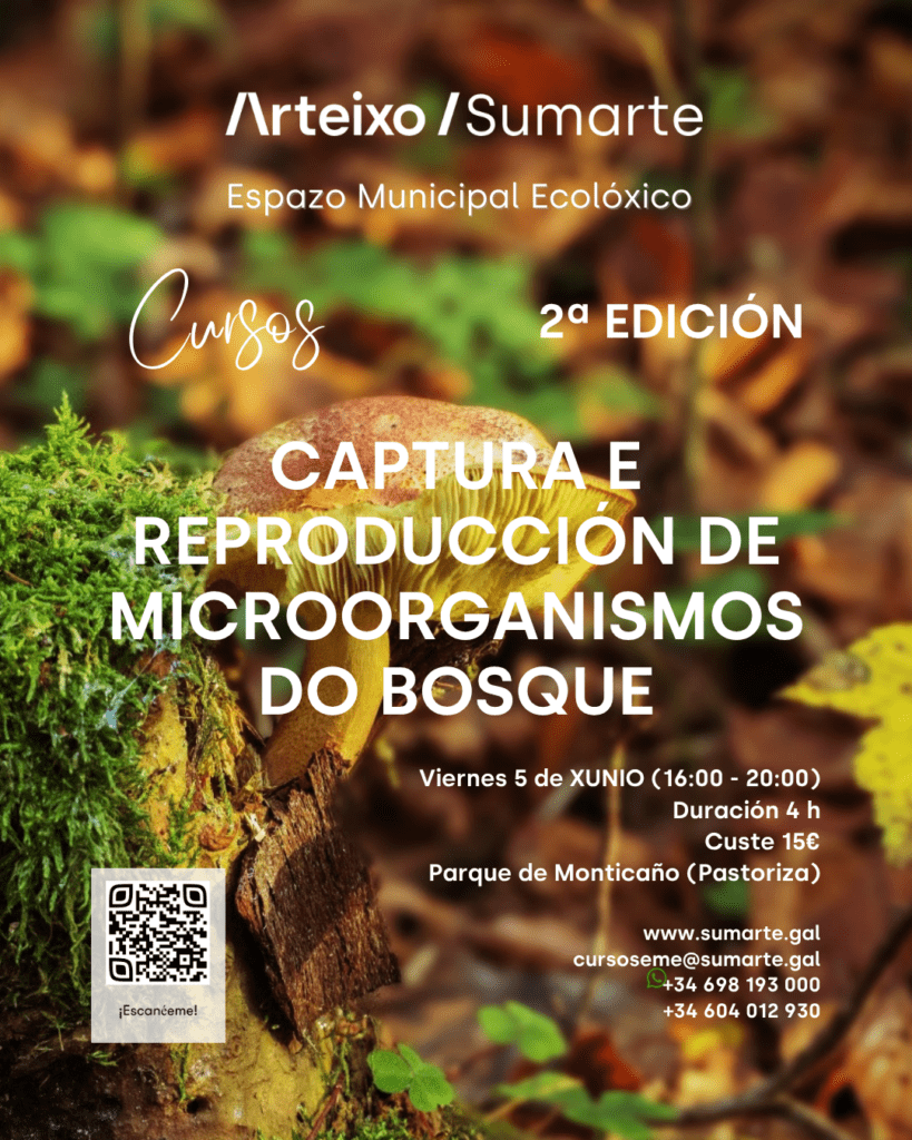 Taller Captura e reproducción de Microorganismos do bosque